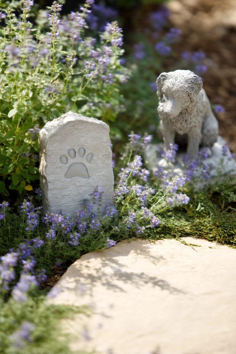 7 Touching Memorial Garden Ideas to Honor Loved Ones
